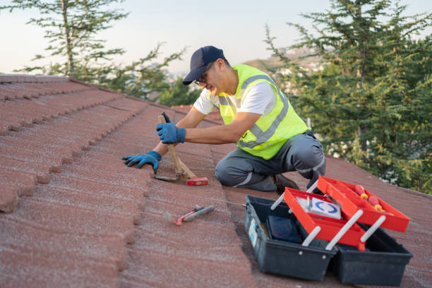Best Local Roofing Companies  in Nappanee, IN