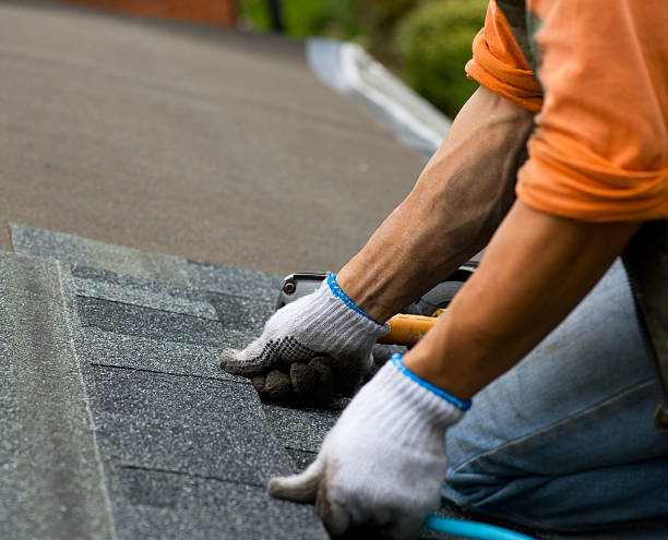 Best Best Roofing Contractors  in Nappanee, IN